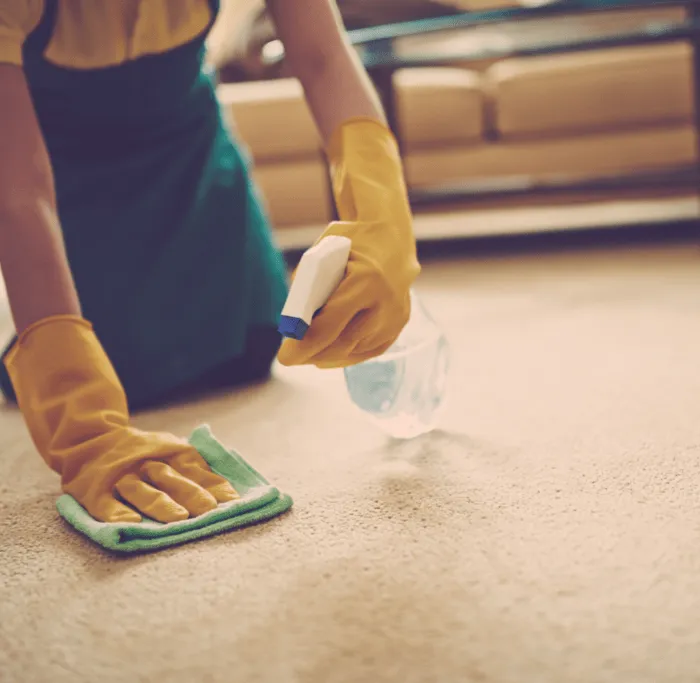 Daily-Carpet-Care-img